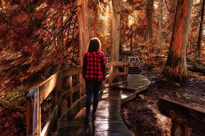 Mount Revelstoke Nationalpark im Herbst